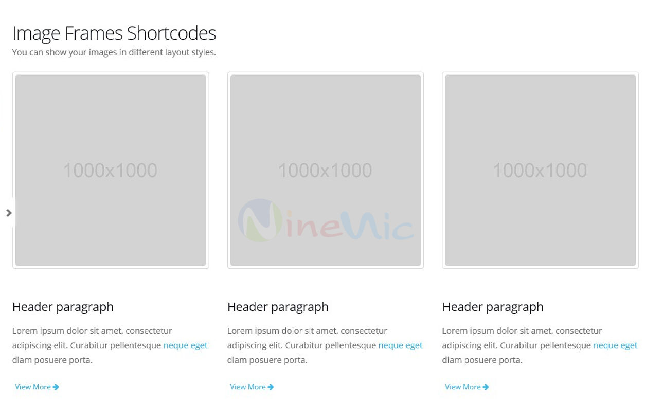 เว็บไซต์สำเร็จรูป shortcodes image frames