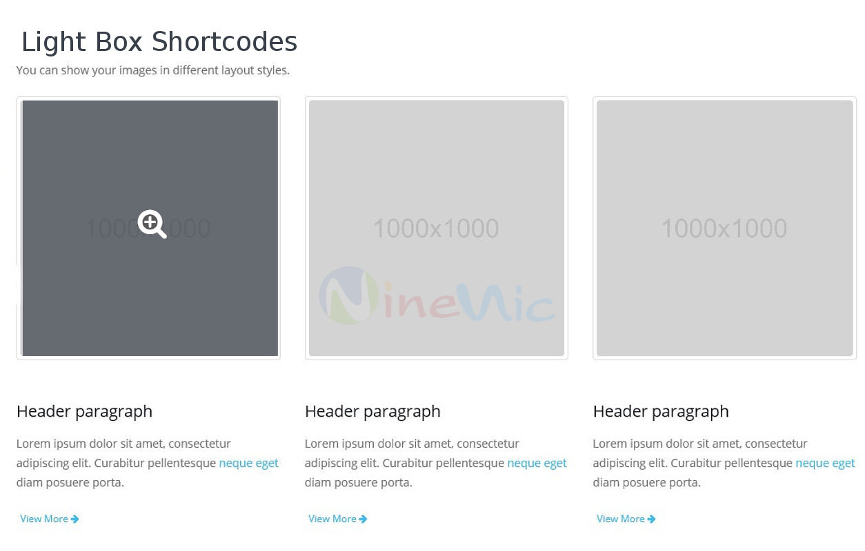 เว็บไซต์สำเร็จรูป shortcodes Light box